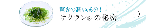 驚きの成分！ サクランの秘密