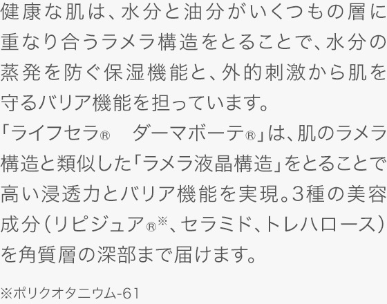 健康な肌は、水分と油分がいくつもの層に重なり合うラメラ構造をとることで、水分の蒸発を防ぐ保湿機能と、外的刺激から肌を守るバリア機能を担っています。「ライフセラ&reg; ダーマボーテ&reg;」は、肌のラメラ構造と類似した「ラメラ液晶構造」をとることで高い浸透力とバリア機能を実現。3種の美容成分（リピジュア&reg; ※、セラミド、トレハロース）を角質層の深部まで届けます。※ポリクオタニウム-61