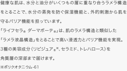 健康な肌は、水分と油分がいくつもの層に重なり合うラメラ構造をとることで、水分の蒸発を防ぐ保湿機能と、外的刺激から肌を守るバリア機能を担っています。「ライフセラ&reg; ダーマボーテ&reg;」は、肌のラメラ構造と類似した「ラメラ液晶構造」をとることで高い浸透力とバリア機能を実現。3種の美容成分（リピジュア&reg; ※、セラミド、トレハロース）を角質層の深部まで届けます。※ポリクオタニウム-61